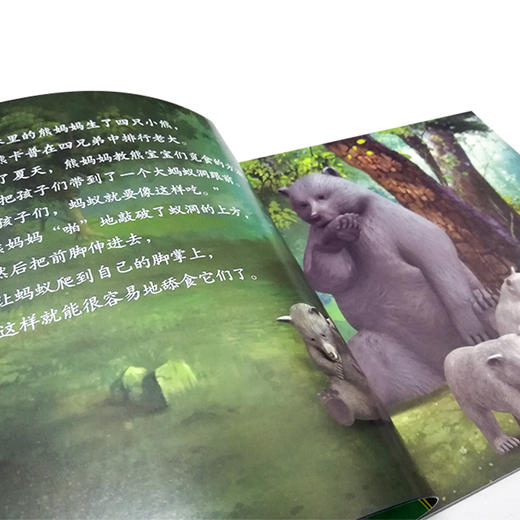 灰熊卡普 世界文学巨匠送给孩子的礼物 3D演绎 精选自青少年必读书目 名著绘本版 商品图3