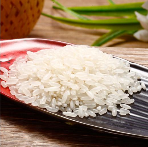 【正宗东北大米系列】 稻花香米 五常大米 20斤 商品图2