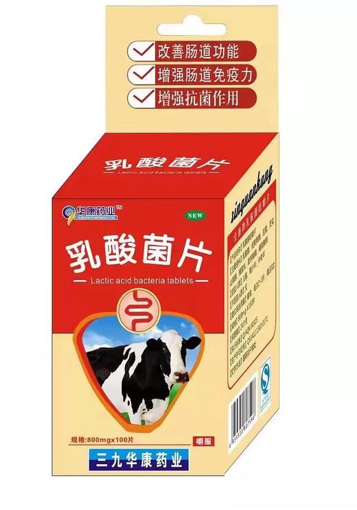 食品三九华康乳酸菌片有效期20240101