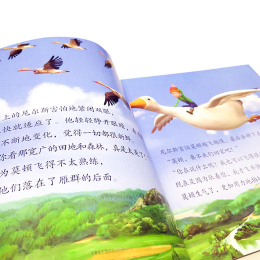 尼尔斯骑鹅历险记 世界文学巨匠送给孩子的礼物 3D演绎 精选自青少年必读书目 名著绘本版 商品图3