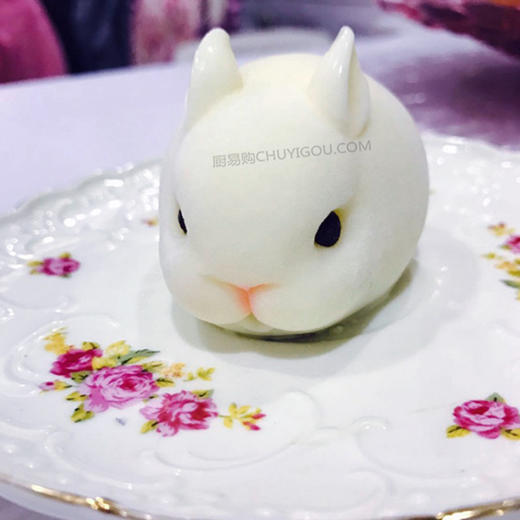 小兔子模具/制作兔子慕斯/巧克力兔子/鸡肉鱼蓉兔子造型菜 商品图3