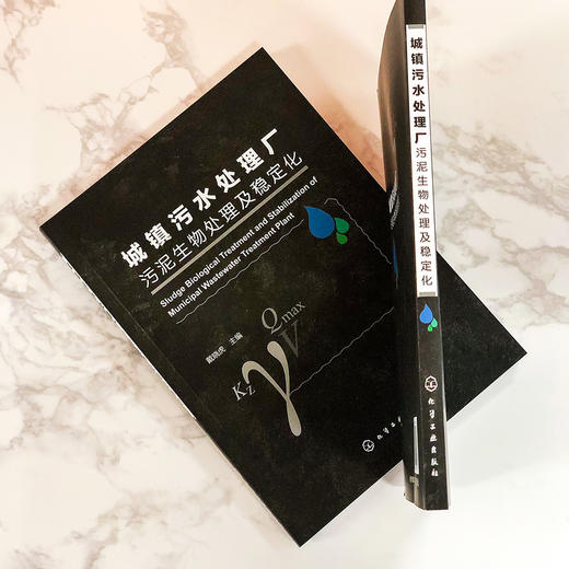 城镇污水处理厂污泥生物处理及稳定化 商品图1