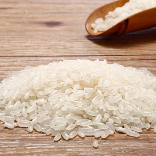 【正宗东北大米系列】 稻花香米 五常大米 20斤 商品图1