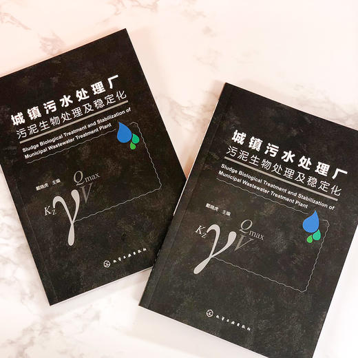 城镇污水处理厂污泥生物处理及稳定化 商品图2