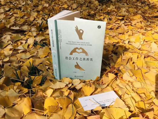 《社会工作之真善美》 商品图2