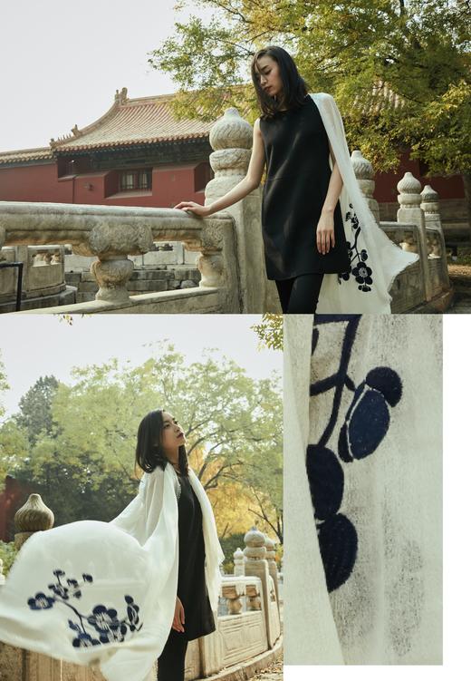 五行色刺绣羊绒围巾 披肩 SJG18P608N 商品图3