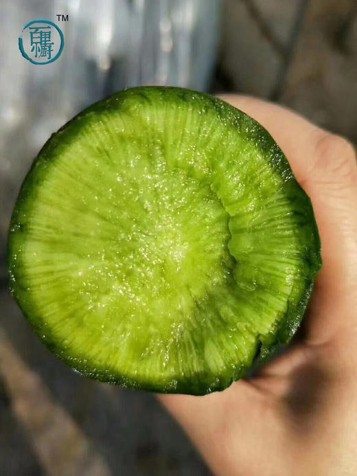 潍县萝卜 冰淇淋萝卜 正宗核心产地 萝卜界的翘楚 冬吃萝卜生吃最棒  包邮 |百里食 商品图9