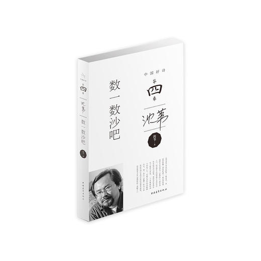 中国好诗·第四季（全套10册） 商品图5