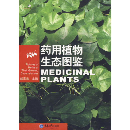 正版现货 药用植物生态图鉴(好奇心书系) 赵素云 著作赵素云　主 商品图1
