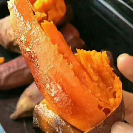 [最农公社]福建六鳌红薯沙地蜜薯带箱5斤小薯单果50-150g大薯单果150g起 商品图1