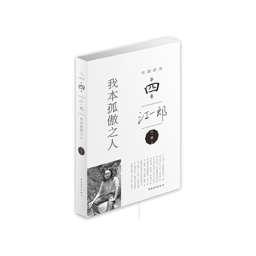 中国好诗·第四季（全套10册） 商品图7