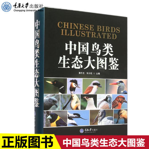 正版 中国鸟类生态大图鉴 收录我国鸟类1068种鸟类学动物学生态学 商品图0