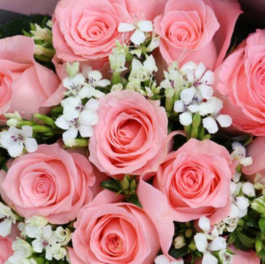 醇美绽放 ---19朵戴安娜玫瑰，相思梅搭配（1506） 商品图4