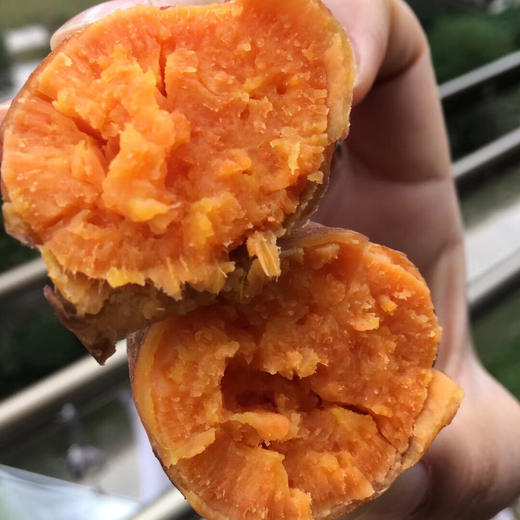 [最农公社]福建六鳌红薯沙地蜜薯带箱5斤小薯单果50-150g大薯单果150g起 商品图3