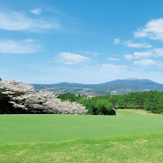 3月 | 2019 | 日本樱花季 岗山+德岛名门高尔夫之旅 | 樱花高尔夫 | 含机票 | 日本高尔夫旅游 | 日本四国地区 商品图9