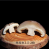 【山阳特产馆】山阳香菇蘑菇秦岭山珍干货特产 商品缩略图2