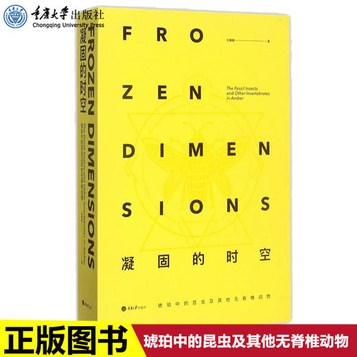 正版 凝固的时空琥珀中的昆虫及其他无脊椎动物古昆虫学教授任东 商品图0