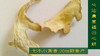 2022秋收鲜姜加工姜母片1斤 经典特级‘七不’小黄姜姜母片 商品缩略图12