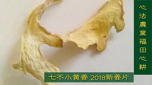 2022秋收鲜姜加工姜母片1斤 经典特级‘七不’小黄姜姜母片 商品图12