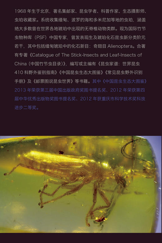 正版 凝固的时空琥珀中的昆虫及其他无脊椎动物古昆虫学教授任东 商品图1