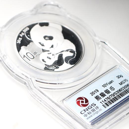 【可爱封】2019年熊猫30克银币封装评级满分版（MS70） 商品图2