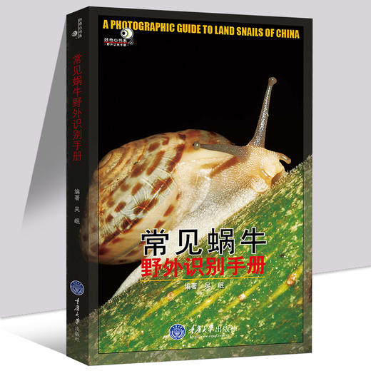 正版 常见蜗牛野外识别手册好奇心书系野外识别手册蜗牛爱好者初 商品图3