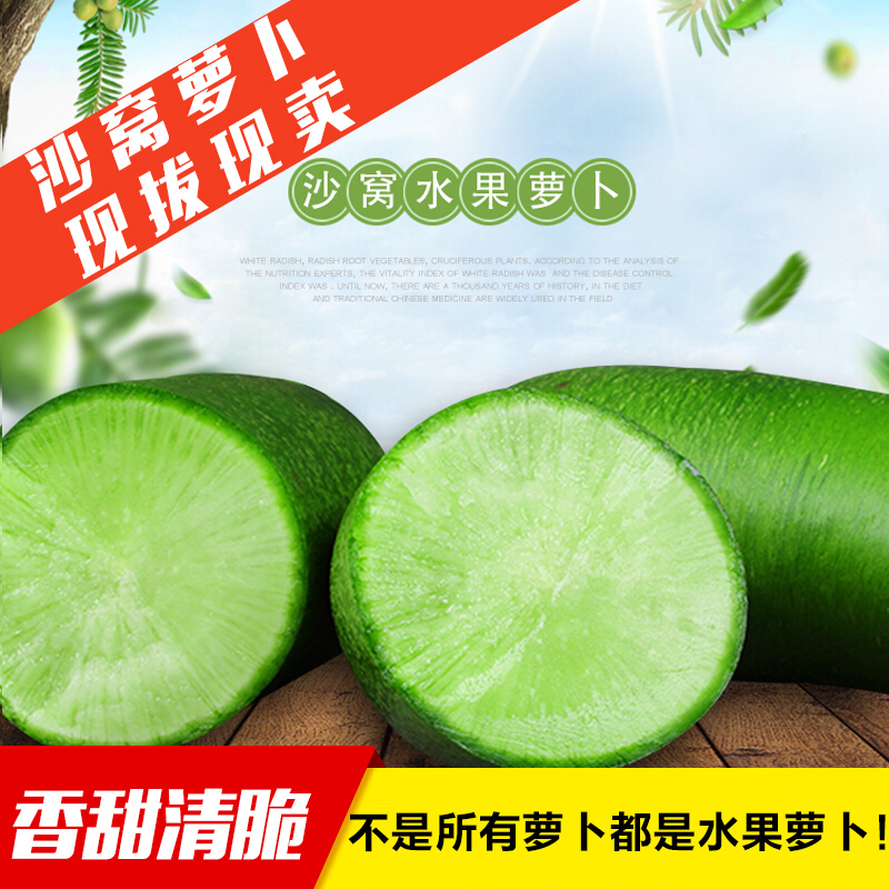 【下单后48小时左右发货】天津 沙窝水果萝卜 8斤装左右