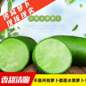 【下单后48小时左右发货】天津 沙窝水果萝卜 8斤装左右