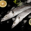 舟山野生带鱼（海钓带鱼鱼鳞完整，油带是网捕带鱼） 商品缩略图4