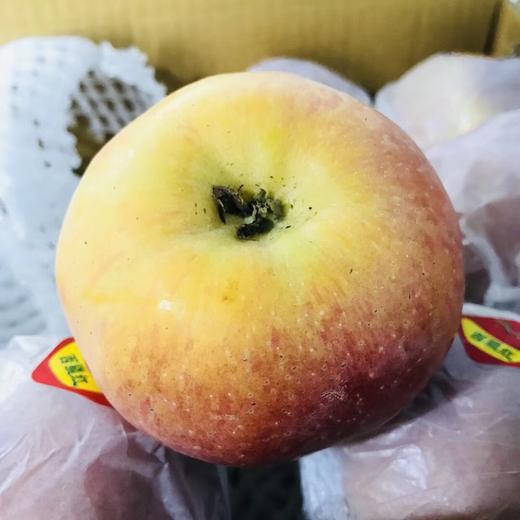 新疆阿克苏苹果 【  带箱10斤  】 商品图0