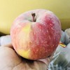 新疆阿克苏苹果 【  带箱10斤  】 商品缩略图1