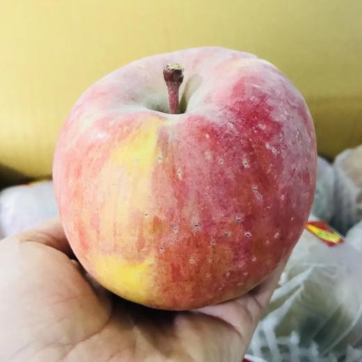新疆阿克苏苹果 【  带箱10斤  】 商品图1