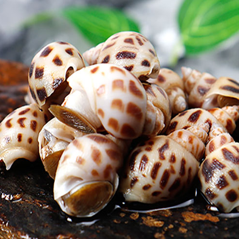 英伦联邦c区|聚鲜阁生鲜专属特价冻品·虾滑(仅限