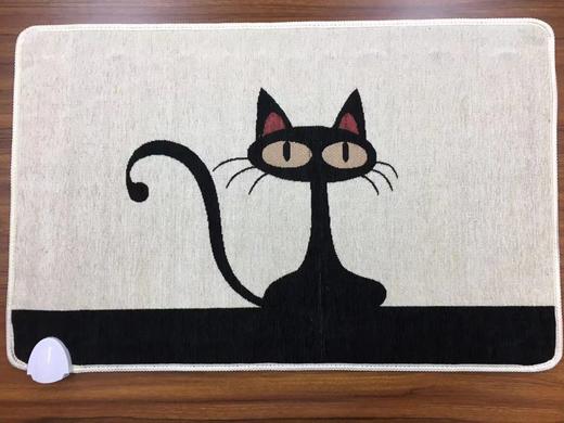 爆款特价 50CM*80CM元然石墨烯聚合纳米能量发热地毯 商品编码99901 商品图3