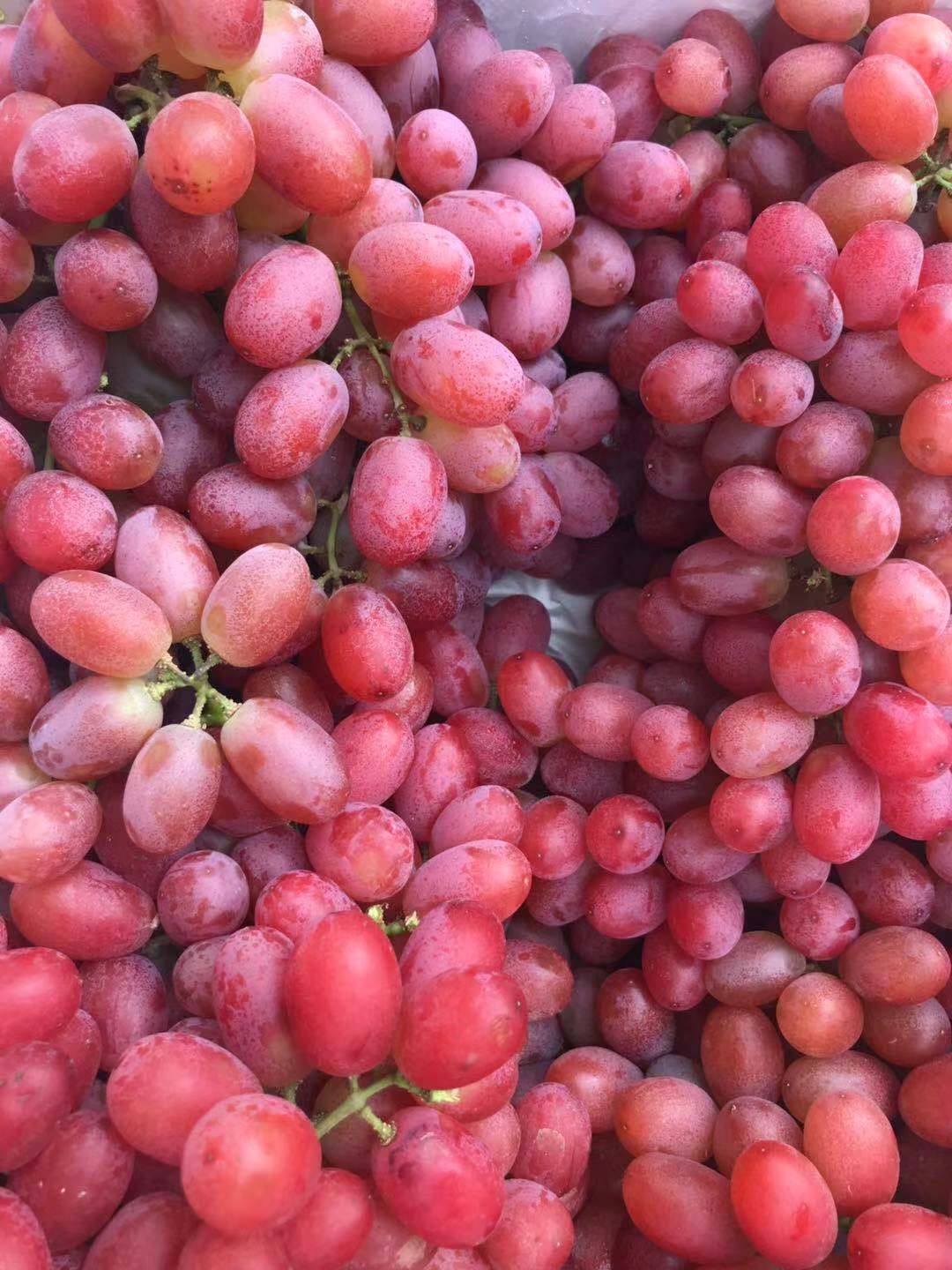 大凉山特选红提果色诱人脆甜多汁脆嫩爽口给你的味蕾一次甜蜜暴击