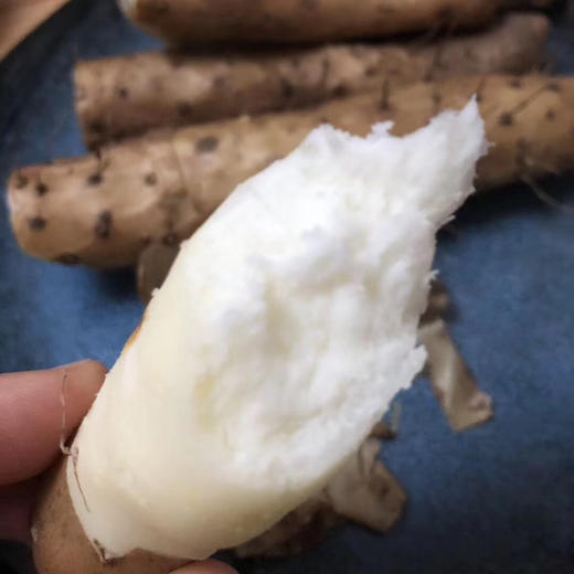 〔产地直发包邮01〕河南温县铁棍山药 商品图2