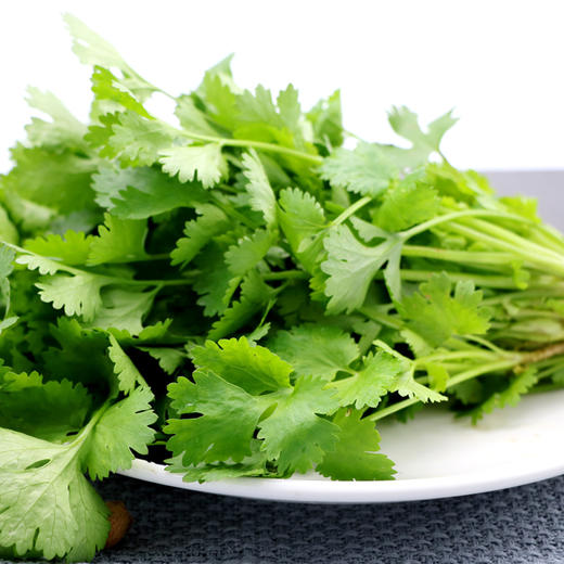 香菜 100g 商品图1