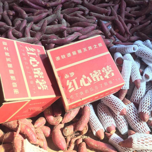 [最农公社]福建六鳌红薯沙地蜜薯带箱5斤小薯单果50-150g大薯单果150g起 商品图11