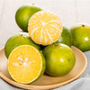 【广西•武鸣皇帝柑】新鲜采摘，果肉饱满，肉质细嫩，清甜多汁，营养美味~ 商品缩略图1