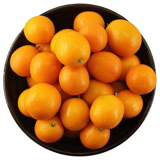 广西金桔450g盒大盒