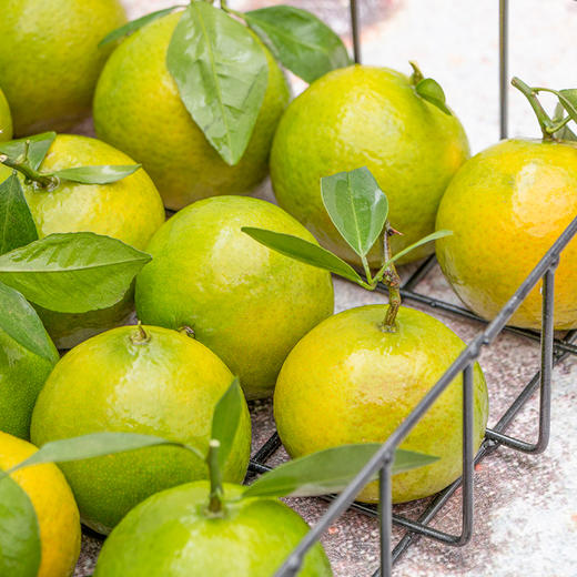 【广西•武鸣皇帝柑】新鲜采摘，果肉饱满，肉质细嫩，清甜多汁，营养美味~ 商品图3