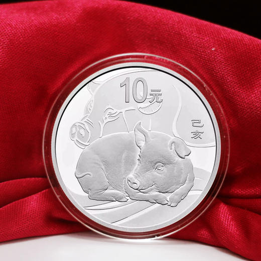 【预订补款】2019年猪年生肖圆形本色30克银币（尾款） 商品图0