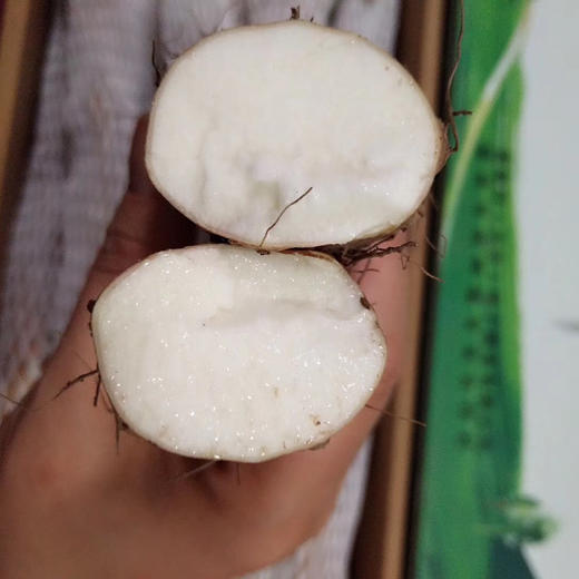 〔产地直发包邮01〕河南温县铁棍山药 商品图1