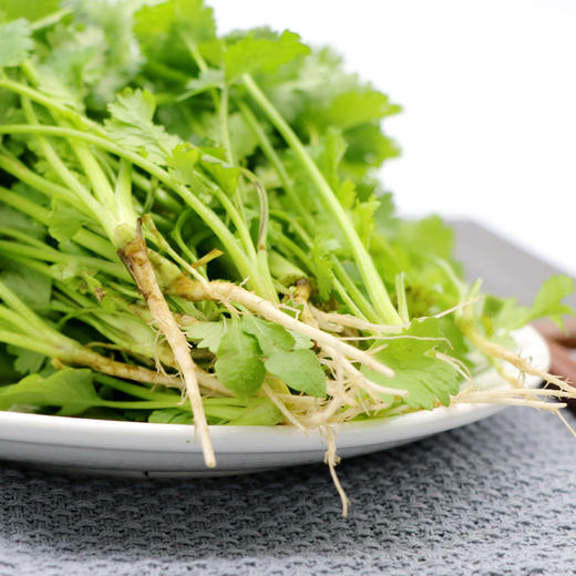 香菜 100g 商品图2