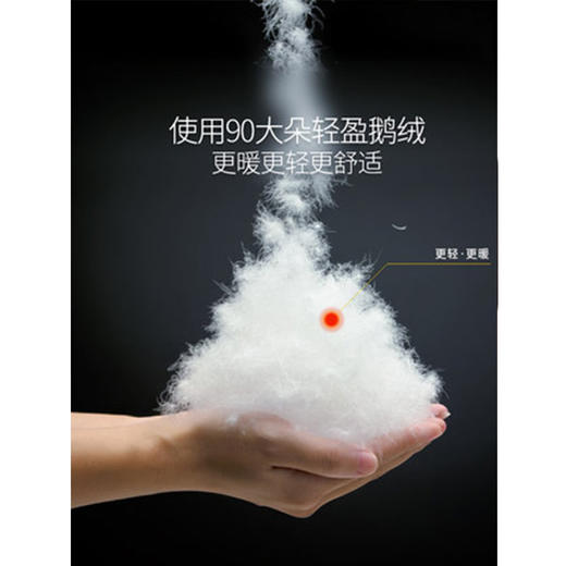 Supield疏水黑科技防水温控智能加热羽绒服男鹅绒服冬季加厚外套 商品图2