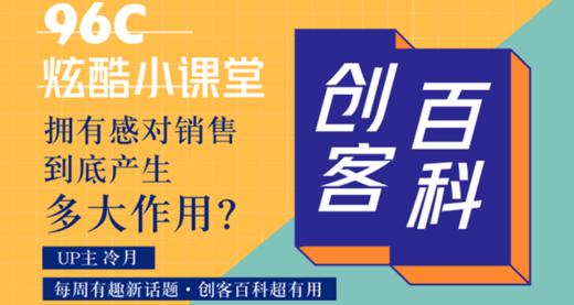 拥有感对销售到底产生多大作用？ 商品图0