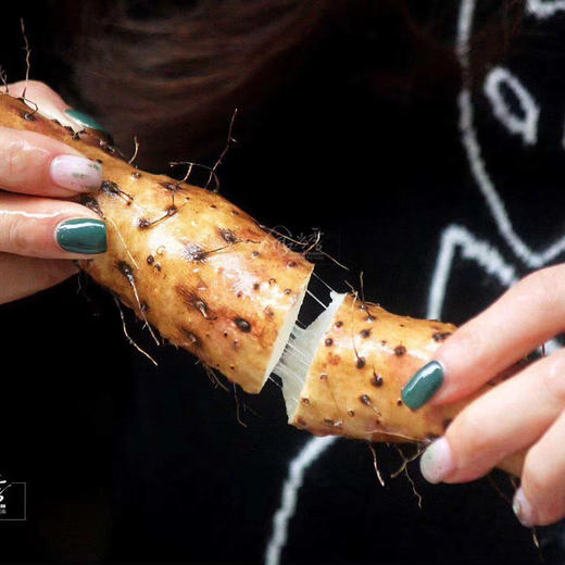 〔产地直发包邮01〕河南温县铁棍山药 商品图0