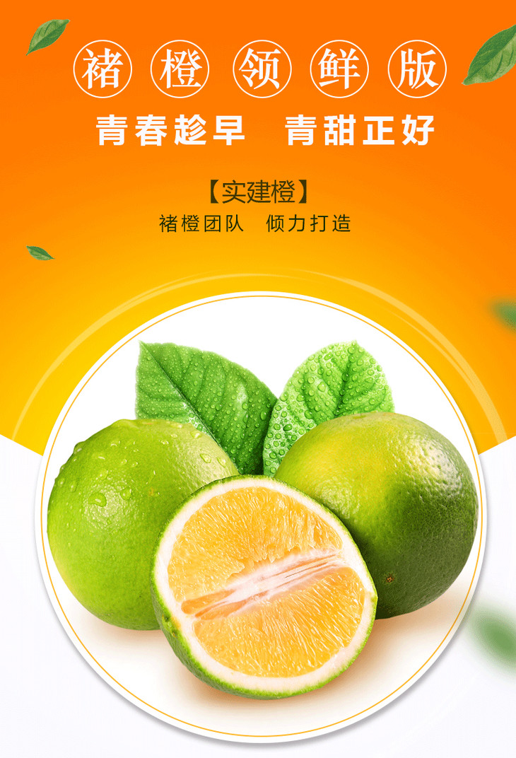 现货抢购褚橙领鲜版2018实建橙优级10斤礼盒装冰糖橙