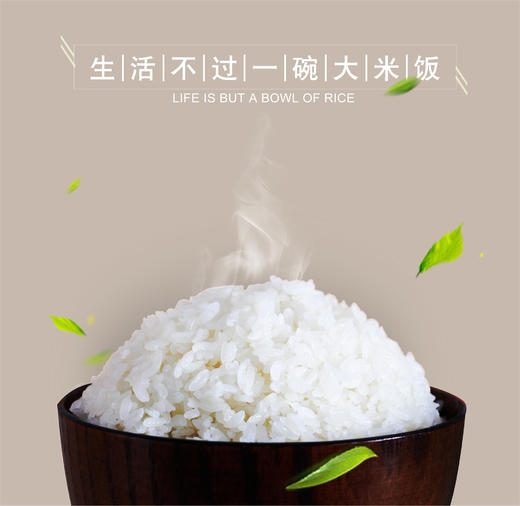 寒乡原稻花香大米4kg  包邮真空礼盒包装 产自五常 商品图1
