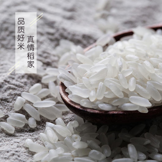 寒乡原稻花香大米4kg  包邮真空礼盒包装 产自五常 商品图2